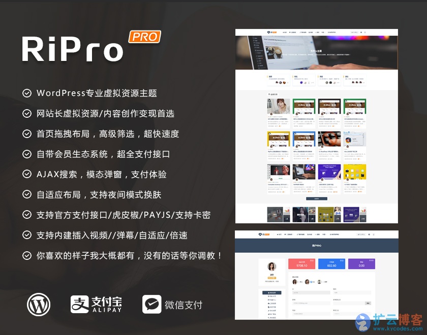 WordPress RiPro主题最新破解去授权无限制版本v4.6.0|扩云博客