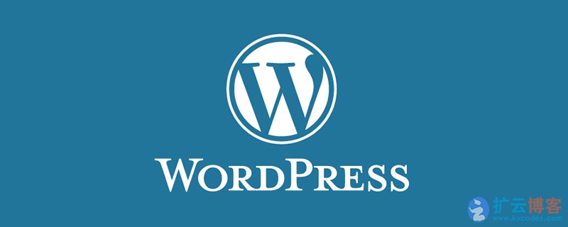 WordPress纯代码实现标签自动添加内链 文章自动生成标签|扩云博客